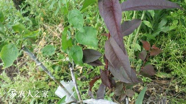 20180424_150924_resized.jpg