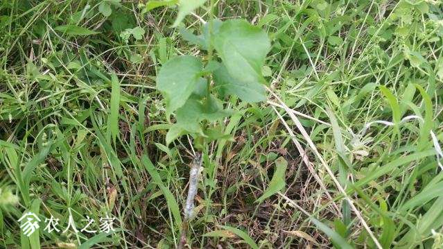 20180424_151204_resized.jpg