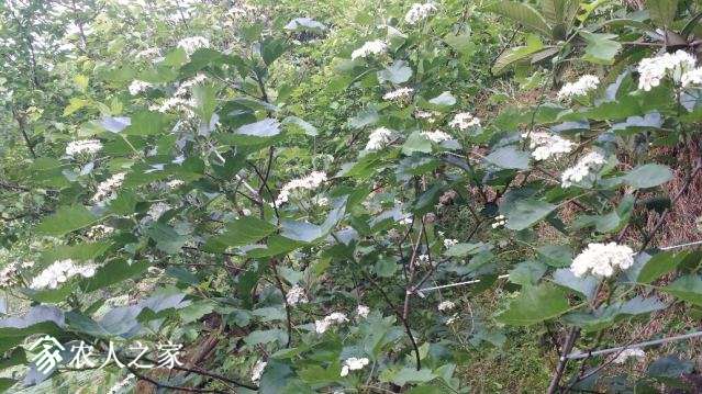 20180424_171544_resized.jpg