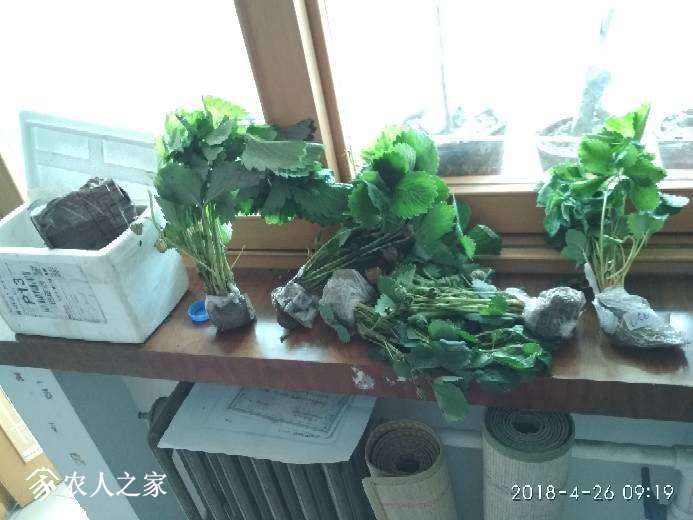 091927cjod6jzdqahbdbar.jpg