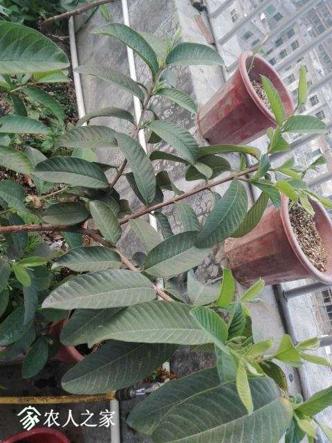 ΢��ͼƬ_20180426124047.jpg