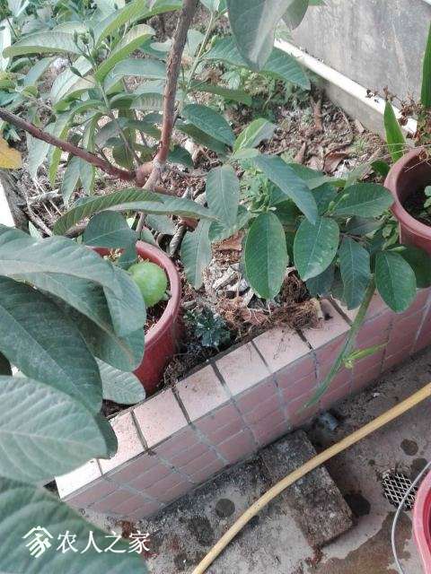 ΢��ͼƬ_20180426124050.jpg