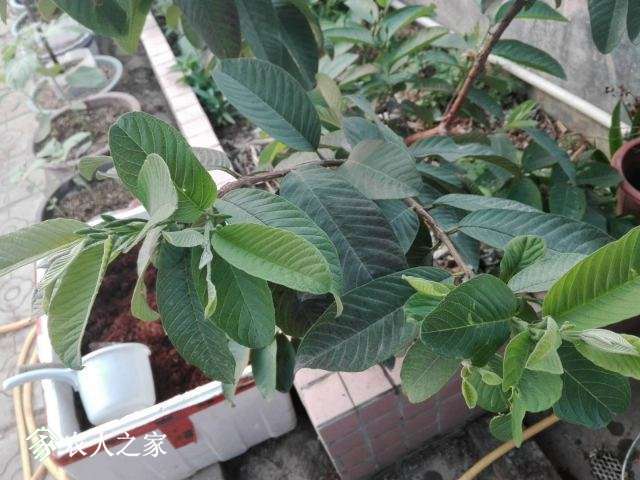 ΢��ͼƬ_20180426124054.jpg