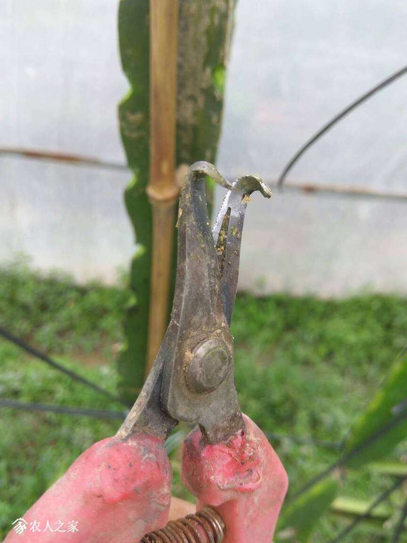 193559wmuw5tsdzm57uwew.jpg