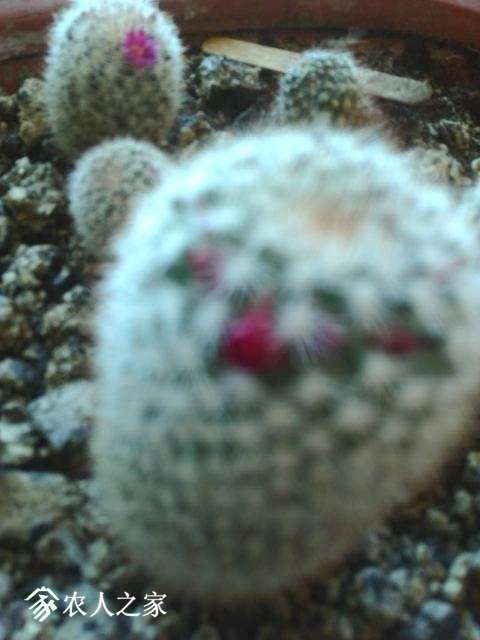 ΢��ͼƬ_20180427164831.jpg