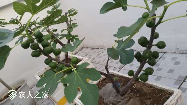 20180416_182405.jpg