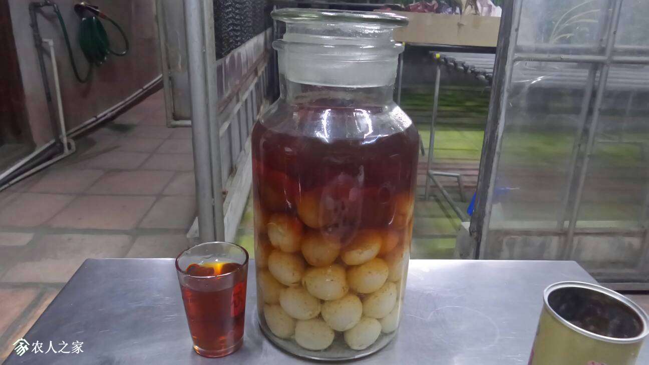 203852cz0xgvyyvgb9pyvv.jpg