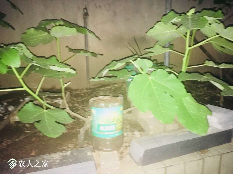 210122bvluqqulcqvbfqvs.jpg