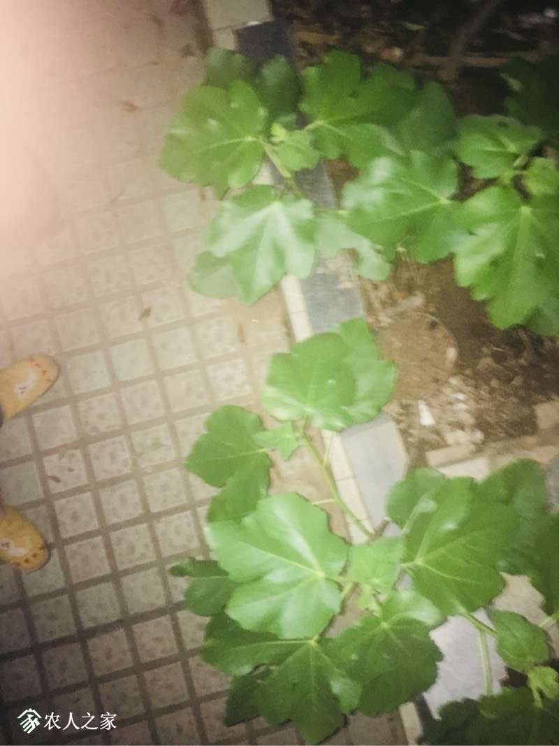 210442mue55sq5foz5sftt.jpg