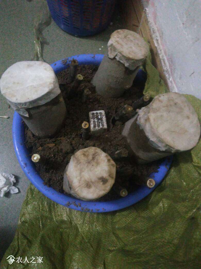 052142odaulttbvy77ctu4.jpg