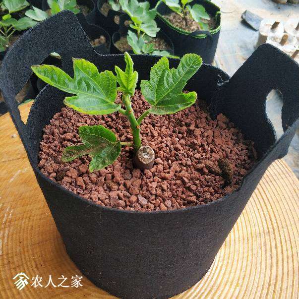 063109ghxaaffx15g0azjj.jpg