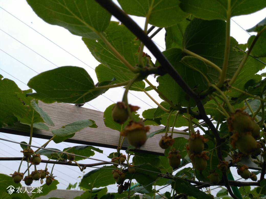 080605g13100xwjn772j2v.jpg