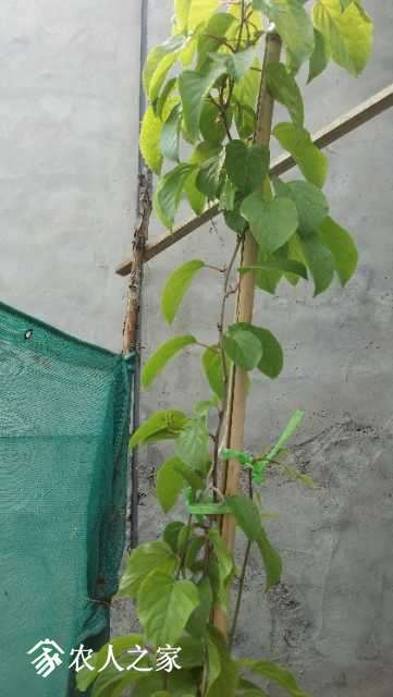 20180429_134125.jpg