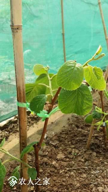20180429_134020.jpg