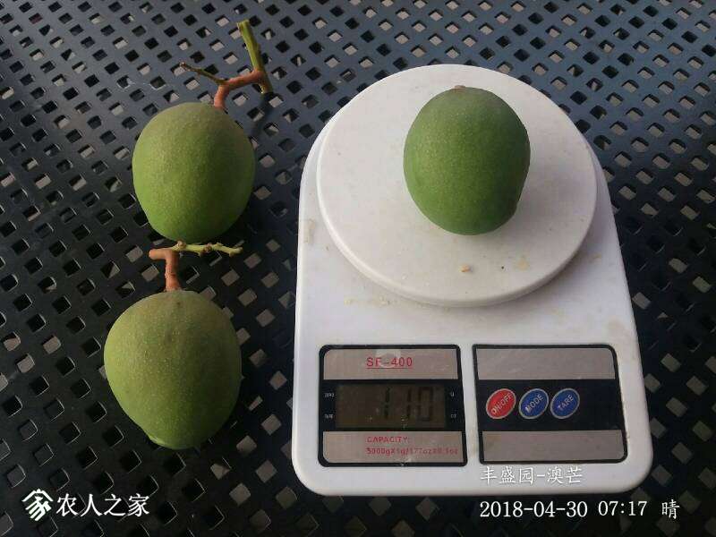073309kfgycmspochxhsbm.jpg