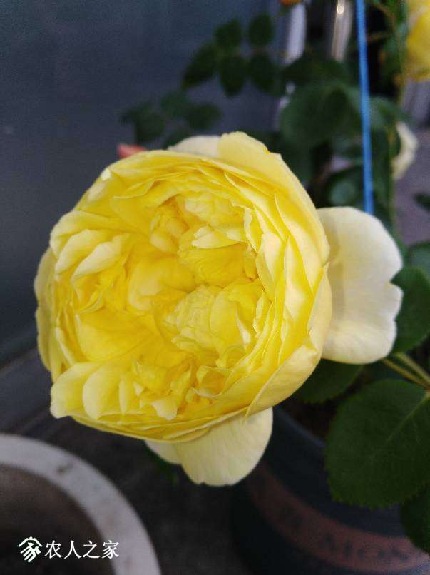 132334kx1cxhvgeogekdcz.jpg