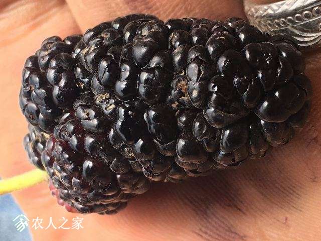 ΢ͼƬ_20180430140131.jpg