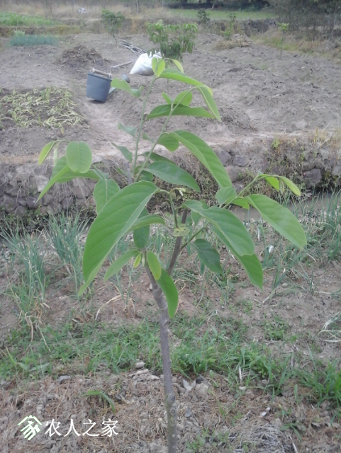 20180410_170217.jpg