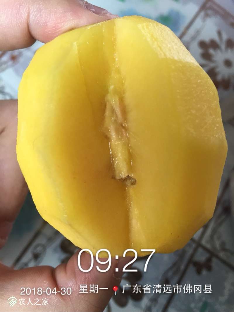 215433t21j85qjrd1xgyqn.jpg