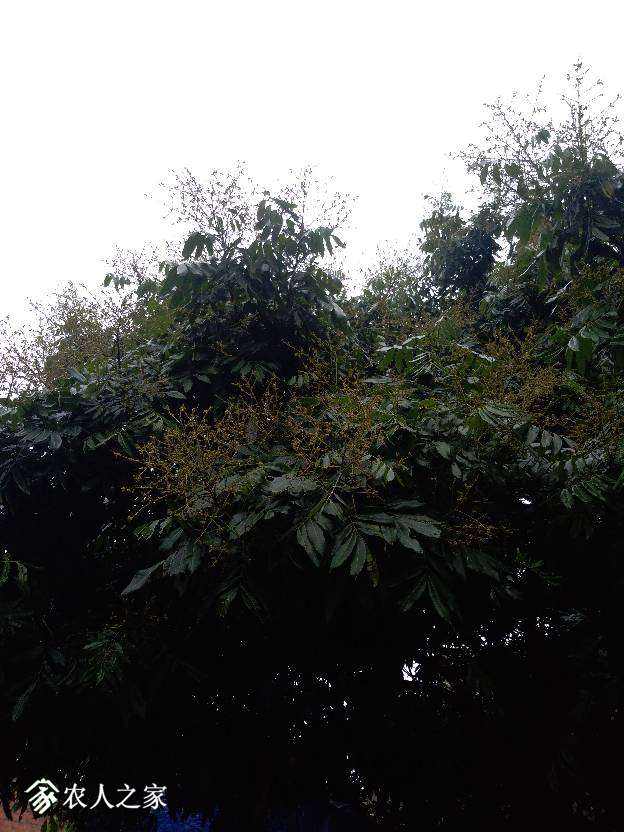 080229gozn7u0z0uo2auz0.jpg