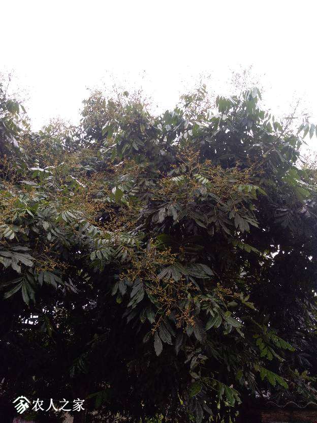 080300si08ipu88if08uxl.jpg