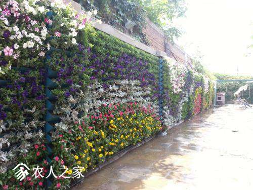 080312wuk00hefsq33rara.jpg