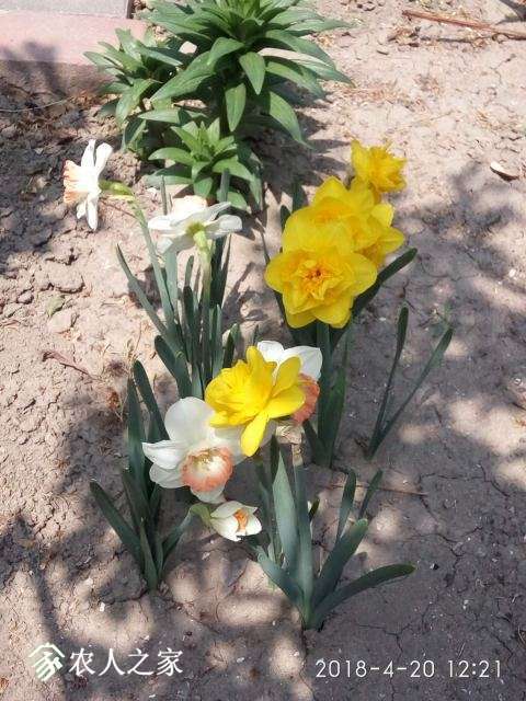 ΢��ͼƬ_201805020959362.jpg