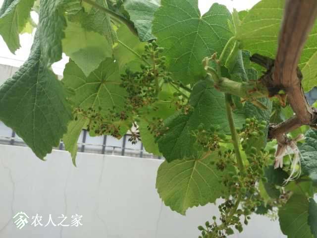 IMG_20180502_123939.jpg
