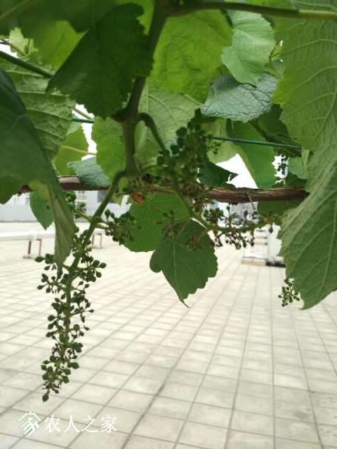 IMG_20180502_123904.jpg