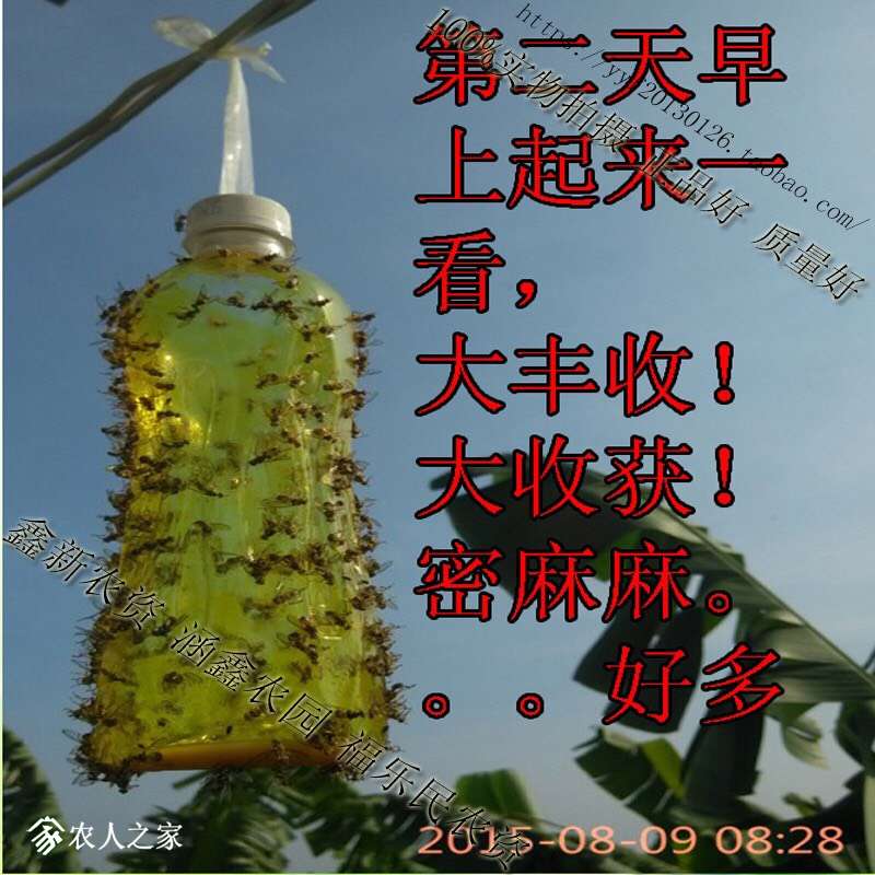 120229t229eqez2bqwh6tb.jpg