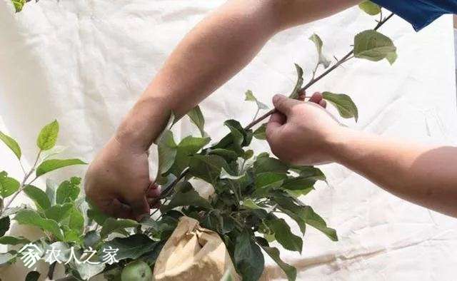 20180503_170238_009.jpg