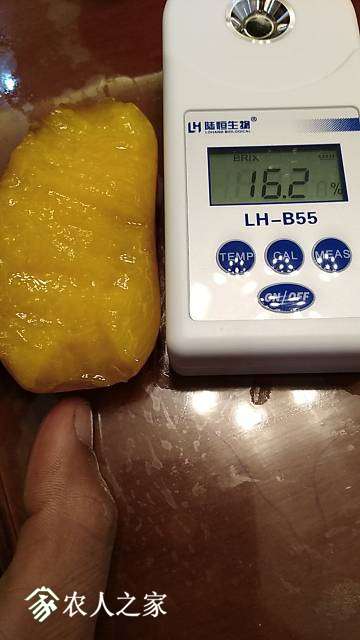 192605qzu05063c7d4c7kr.jpg
