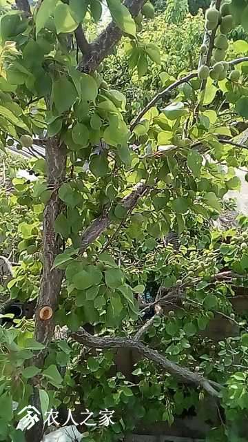 wx_camera_1525075508246.jpg