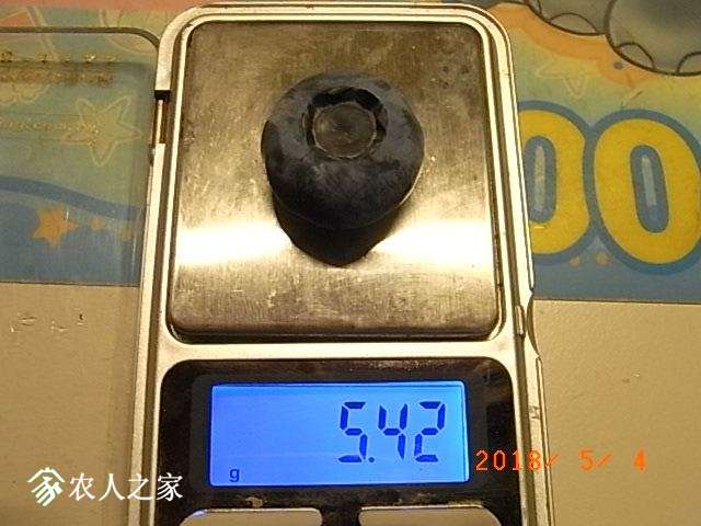 RIMG2353.JPG