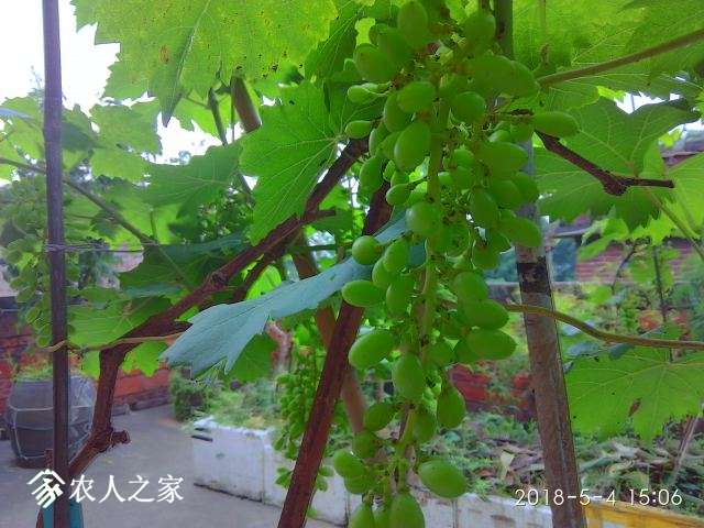 IMG_20180504_150643_HDR.jpg