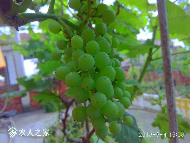 IMG_20180504_150849_HDR.jpg