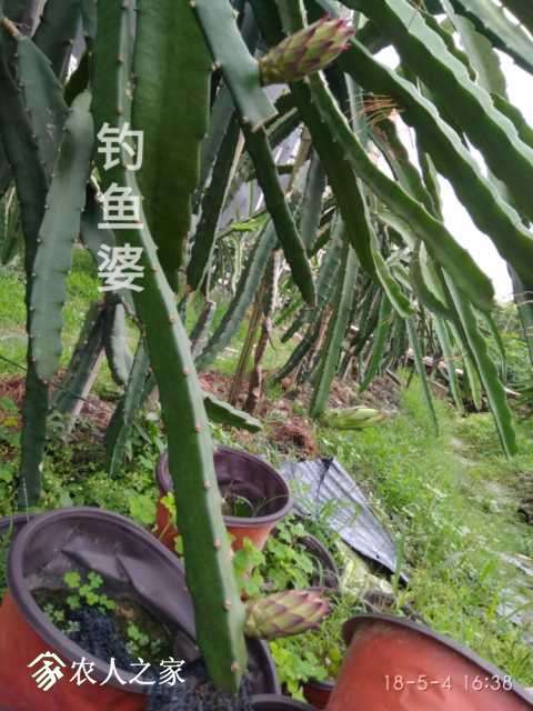 a1525434837831.jpg