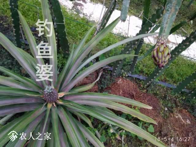 a1525434839118.jpg