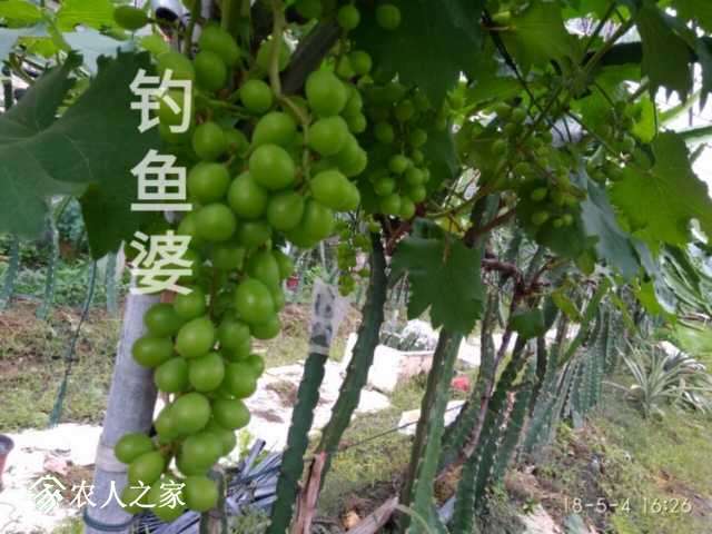 a1525434839887.jpg