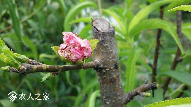20160827_140214.jpg