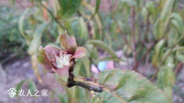 20170914_173245.jpg