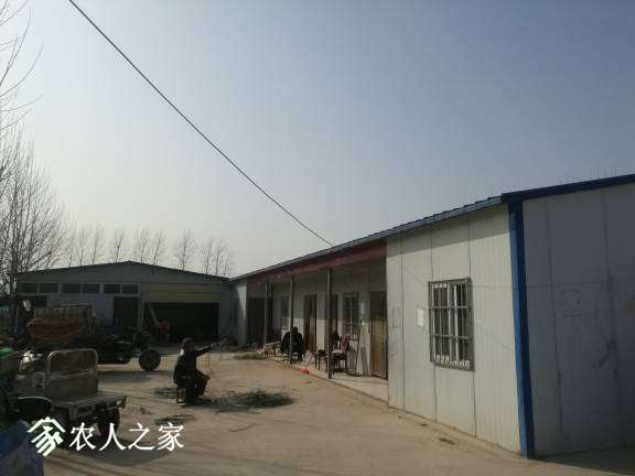 102122bhm28m8czrrhs0hk.jpg