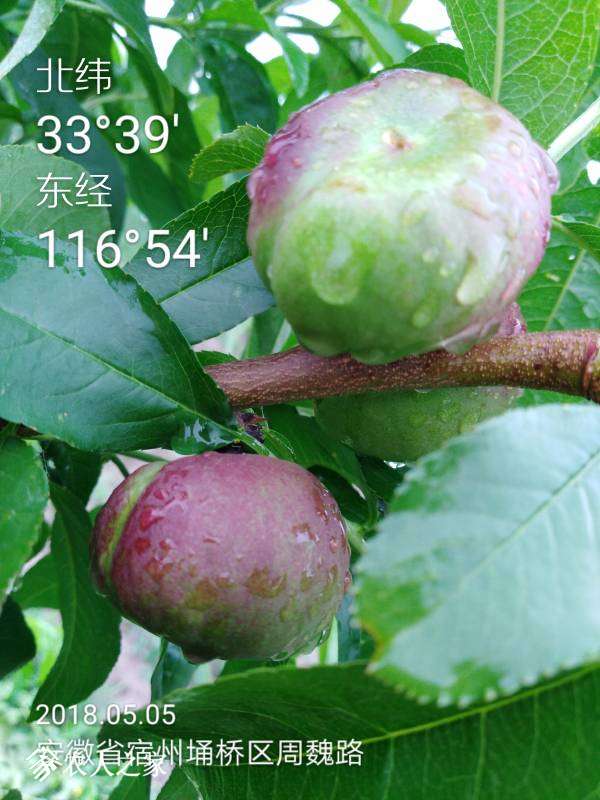 095247hsnhdp3o3087ilie.jpg