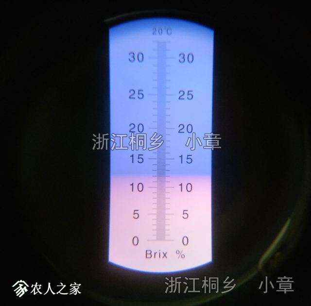 һ10.jpg