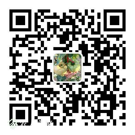 061630nwuz6u16uhs6ci3h.png