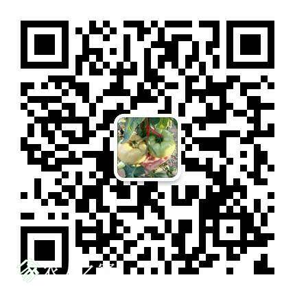 061731an6nmmz5w6ph6xm3.png
