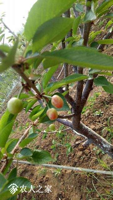 ΢��ͼƬ_20180429081825.jpg