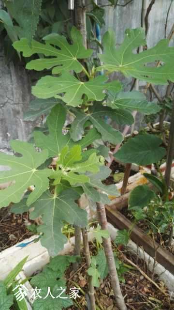 IMG_20180507_165324.jpg