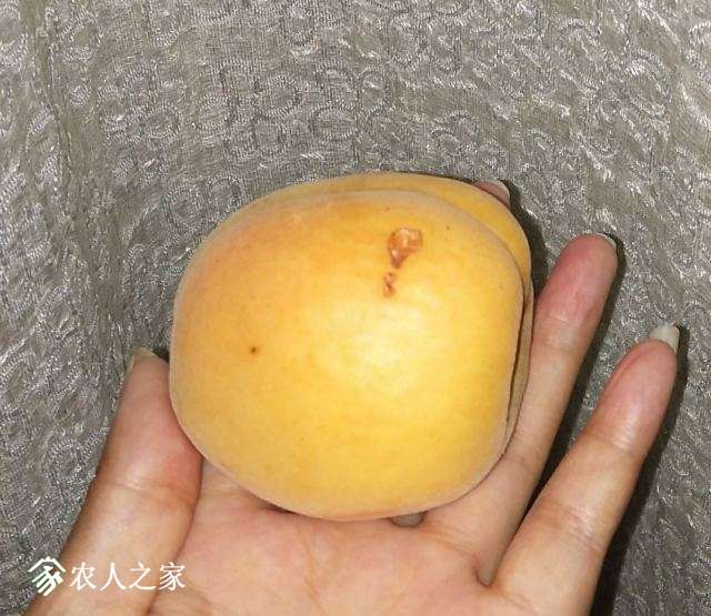 QQͼƬ20180507205334.jpg