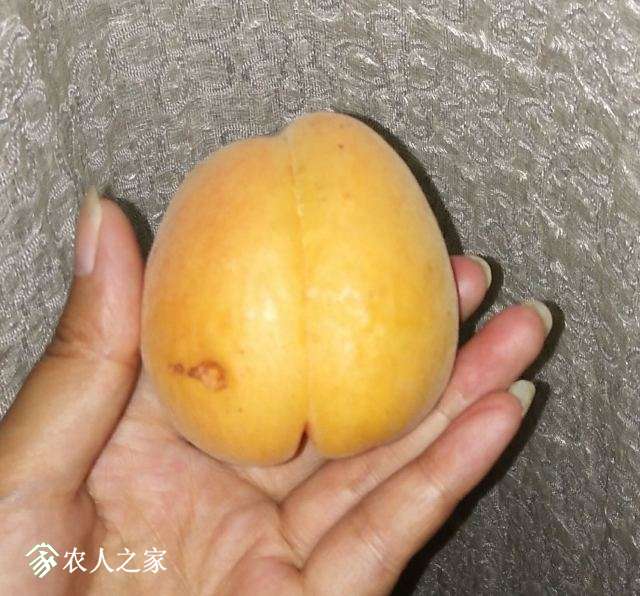 QQͼƬ20180507205358.jpg